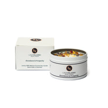 Load image into Gallery viewer, Abundance & Prosperity